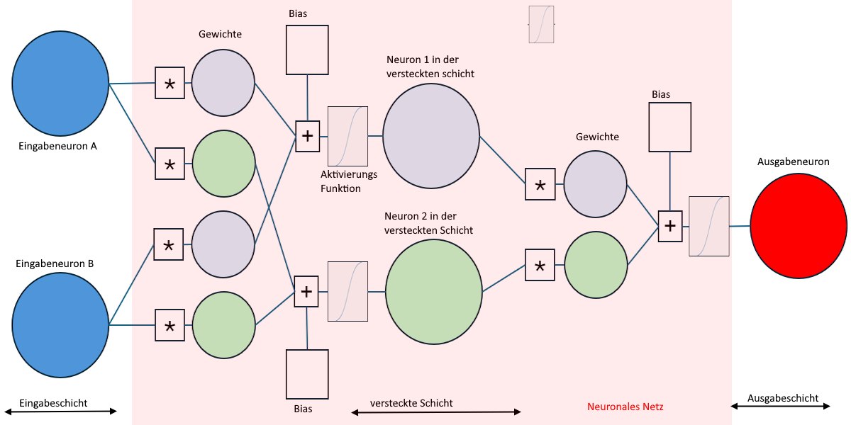 Aufbau des neuronalen Netzes: Eingabeneuronen, Gewichte, Bias, Aktivierungsfunktion, versteckte Schicht und Ausgabeneuron